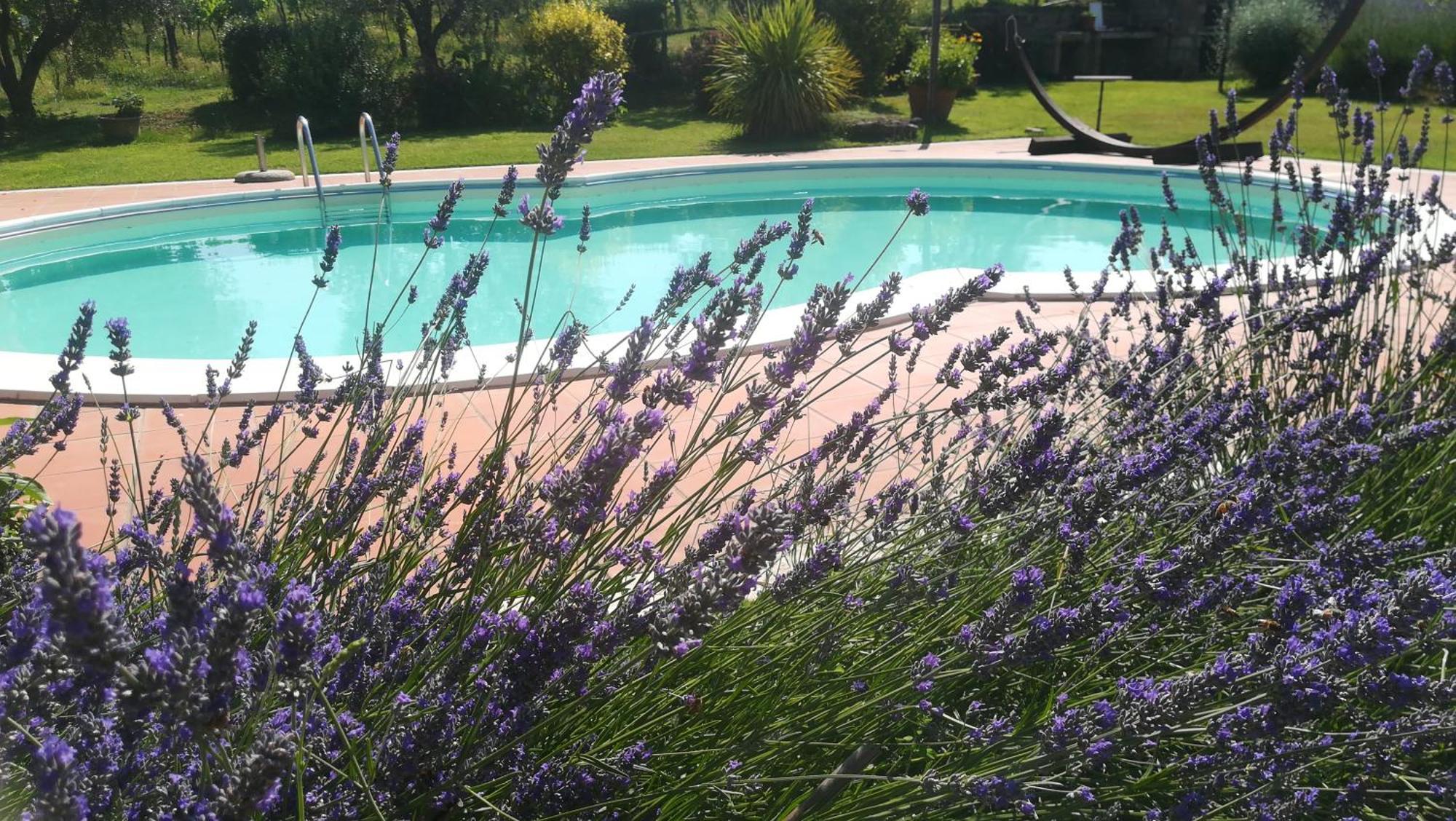 Agriturismo La Dependance سورانو المظهر الخارجي الصورة